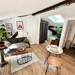 Loft Hortensia Hyper Centre Castres Castres (Tarn)